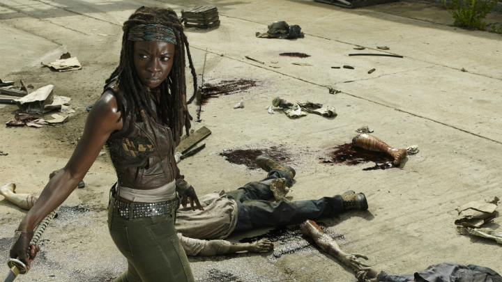 TWD_Michonne_Series2