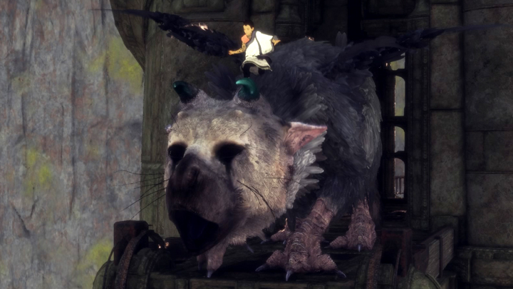 TheLastGuardian12